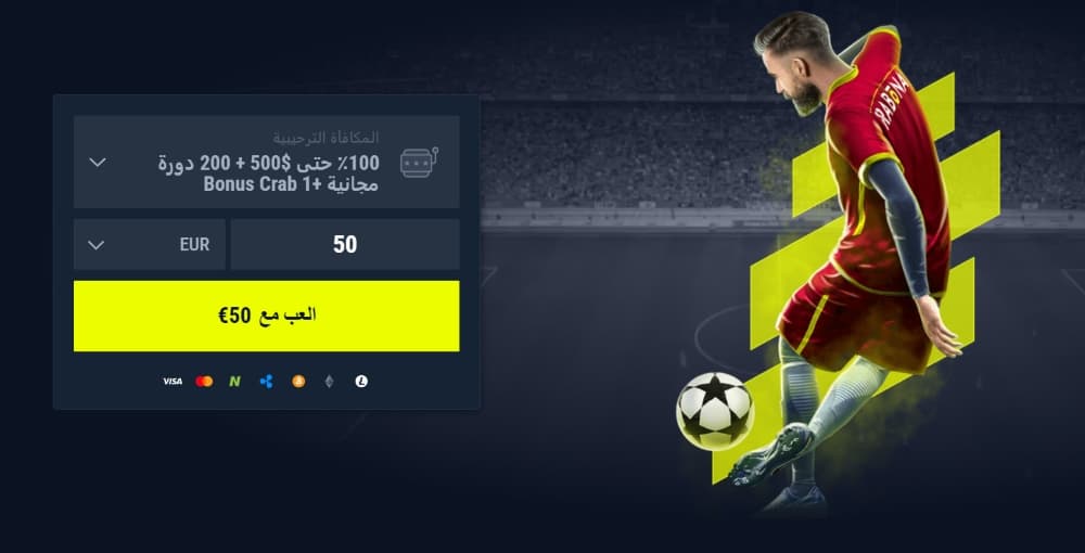 تسجيل الدخول إلى رابونا